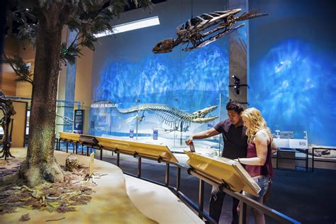 Things To Do In Dallas Perot Museum Of Nature And Science