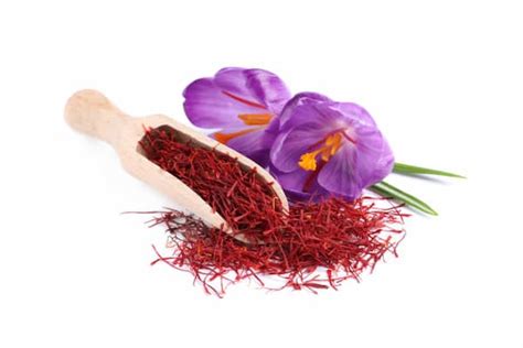 5 benefits of saffron for men tida silk road trading tida saffron