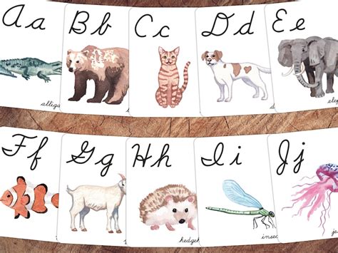 Animals Of The World Cursive Alphabet Cards Animal Nursery Etsy