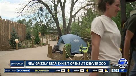 Denver Zoo Reveals New Grizzly Bear Habitat Youtube