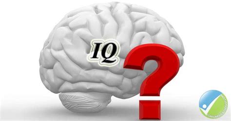 12 People With Highest IQ In The World - How Nigeria News