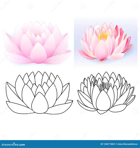Pink Lotus Pattern Flower Set Stock Vector Illustration Of Material