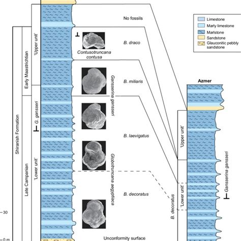 Pdf A Refined Foraminiferal Biostratigraphy For The Late Campanian