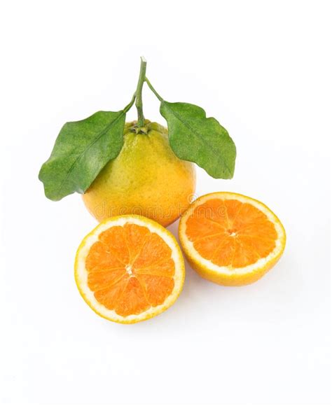 Whole And Halved Orange Fruits With Green Leaves Stock Image Image