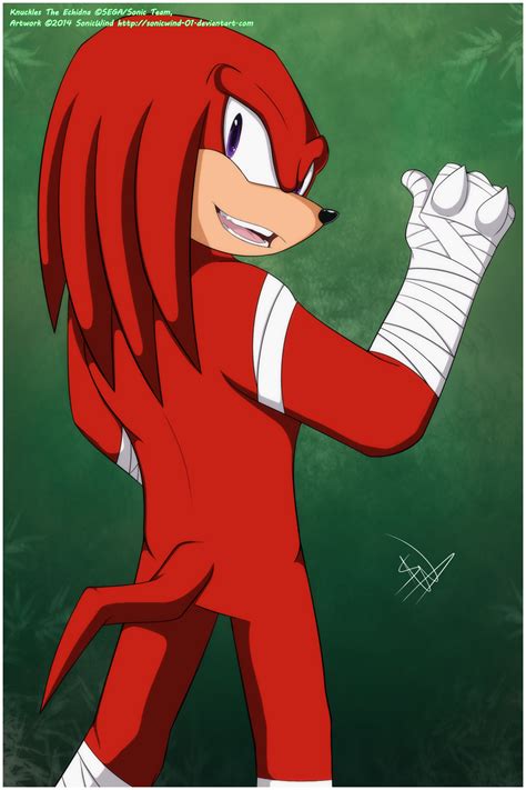 Sb Knuckles The Echidna By Sonicwind 01 On Deviantart