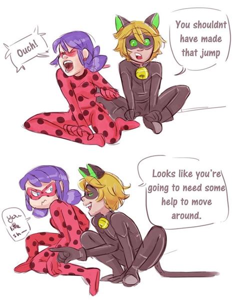 ladynoir miraculous ladybug anime miraculous ladybug memes miraculous ladybug funny