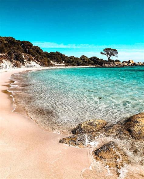 Pour des vacances en famille au grand air, direction le camping en louant un mobilhome en corse, au bord de la mer, avec une piscine ou un club enfant. Épinglé sur Vacances Corse