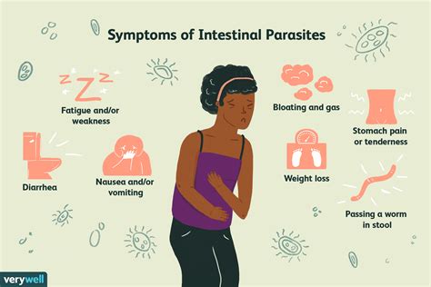 Intestinal Parasites Symptoms Swhshish