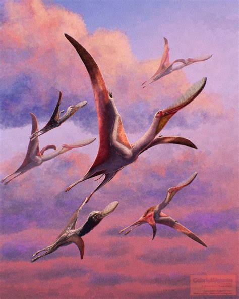 A Flock Of Pterodaustro It Was A Filter Feeding Pterosaur That Lived During The Early