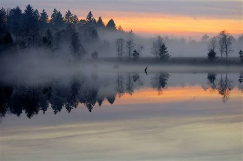 Misty Lake By Burtn On Deviantart Landscape Forest Sunset Lake