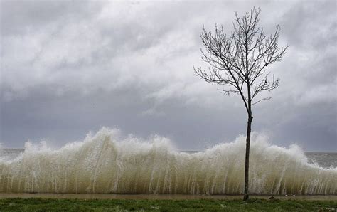 Storm Surge Hits A Small Tree As Winds From Hurricane Sandy Reach