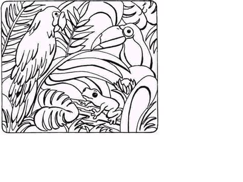Rainforest Animals Coloring Sheets