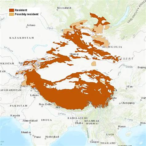 where snow leopards live map