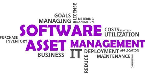 Software Asset Management Sam Information Technology Services Office