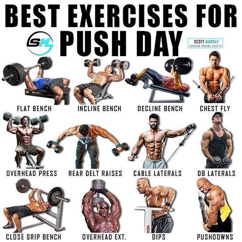 Best Exercises For Push Day Please Follow And Like Follow Workout