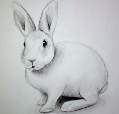Coloriage lapin à découper à imprimer. Tag - dessin - Apprendre à Dessiner