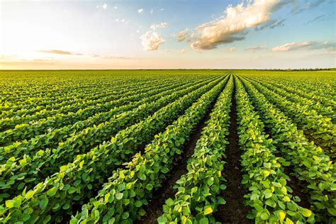Grow Your Farm Business Following 7 Important Steps The Agrotech Daily