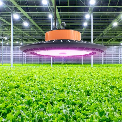 Led Grow Light Factory Manufacturers And Suppliers Newsunshine