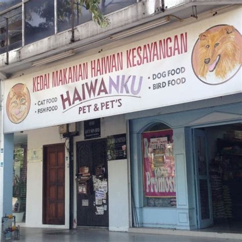 Pet Shop Shah Alam The Ultimate Pet Lover S Guide To Kl Dd Bangi