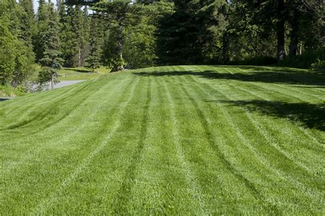 Keep Your Property Green: Lawn Care Tips For Luscious Lawns | Kelly ...