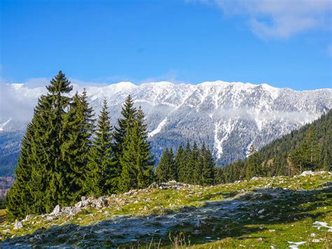 Easy Winter Hiking In The Carpathians Romaniatourstore