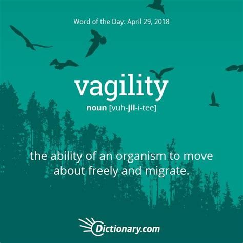 Todays Word Of The Day Is Vagility Read The Full Definition Example
