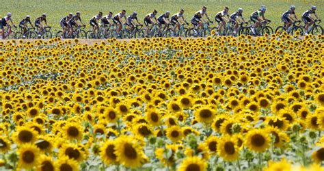 23 Of The Most Powerful Photos Of This Week Tour De France Sports