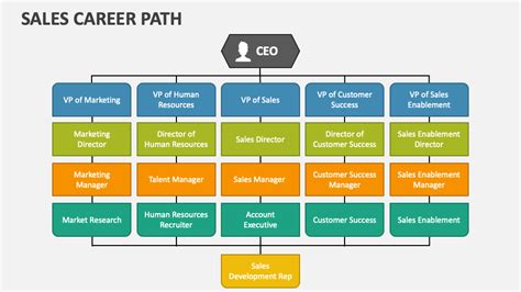 Sales Career Path Powerpoint And Google Slides Template Ppt Slides