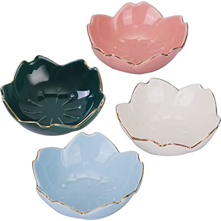 Amazon Com VanEnjoy Set Of 4 Ceramic Seasoning Dishes Dish Sushi