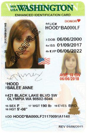 Dc dmv offers identification cards to district residents who need an official form of identification, but do not want or need a driver license. WA State Licensing (DOL) Official Site: ID card designs