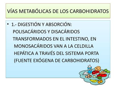 Metabolismo De Carbohidratos By Señor Enfermerock Issuu
