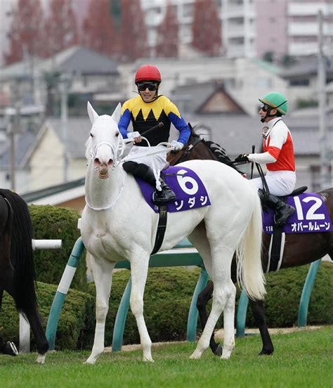 전설의 레전드 일반인 사진과 연예인 움짤 개조아! 無傷の4連勝で阪神JFを制したソダシ｜史上初の白毛GI馬誕生!ソ ...