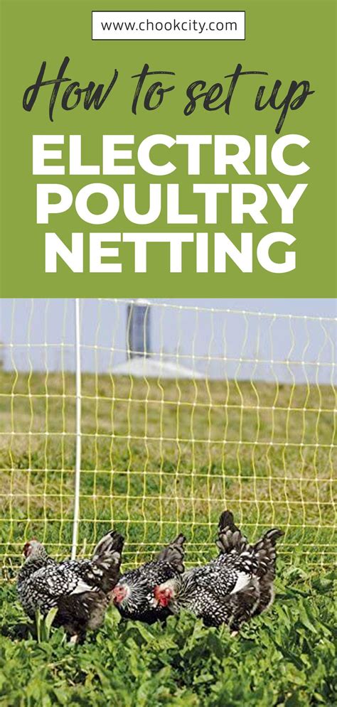 How To Set Up Electric Poultry Netting Electric Poultry Netting
