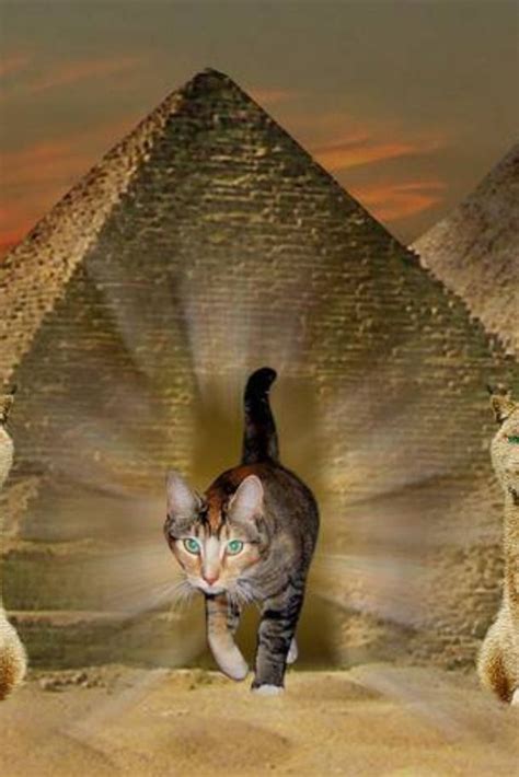 Cat Worship In Ancient Egypt