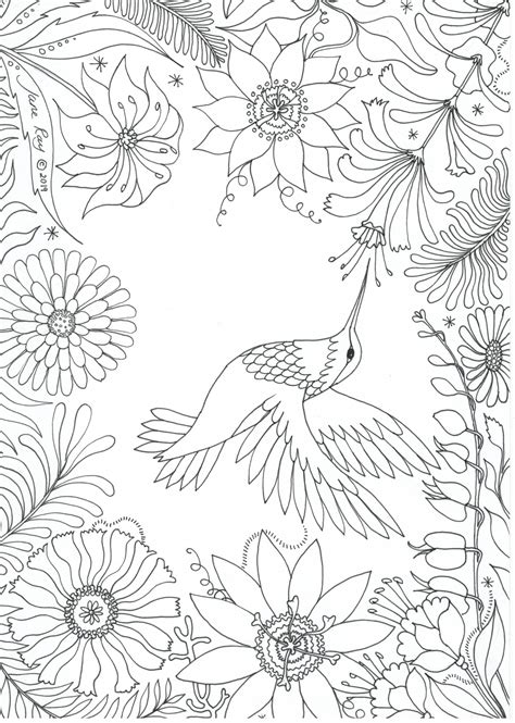 Hummingbird Colouring Sheet Jane Ray