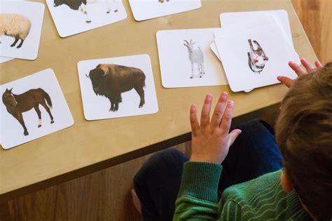 Picture-to-Picture Matching for Montessori Toddlers