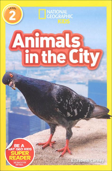 Animals In The City National Geographic Reader Level 2 National