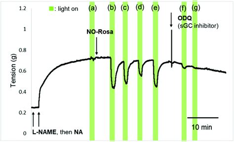 A Yellowish Green Light Controllable Nitric Oxide Donor Based On N