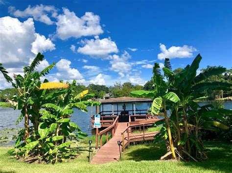 The View Waterfront Tiny House In Orlando Airbnb