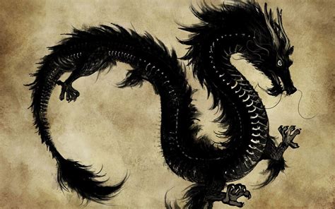 Black Dragon Wallpaper