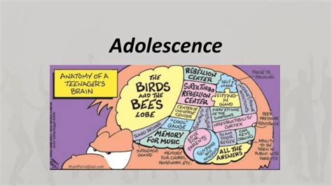Adolescence Adolescence What Is Adolescence Psychology