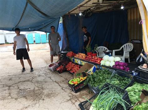 All the best shells and accessories, all at one location, for you to compare side by side! Malakasa camp: Inaction and uncertainty trap migrants ...