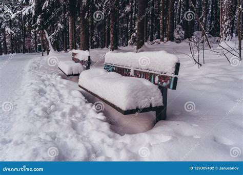 Park Bench Completely Covered With Snow Stock Photo Image Of Frost
