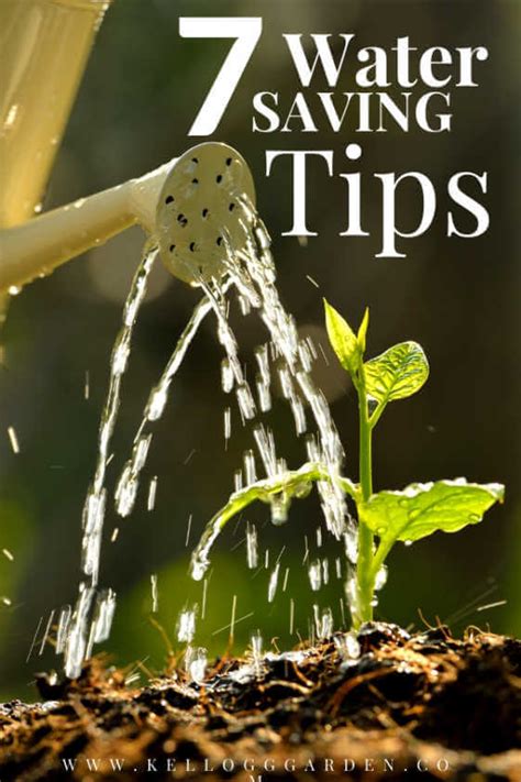 Watering Guide Best Way To Water Plants Kellogg Garden Organics