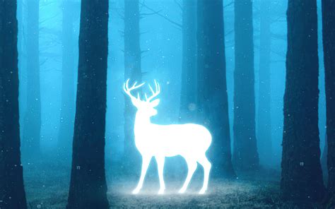 1280x800 Deer In Magical Forest 720p Hd 4k Wallpapers Images