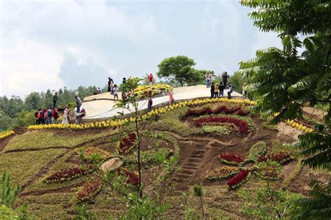 Untuk mengunjungi taman panorama lobang jepang, pengunjung dikenakan tarif tiket masuk yang . Harga Tiket Masuk Dan Alamat Bukit Bulu Flower Garden ...