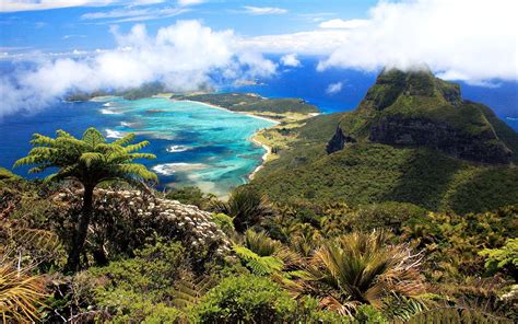 4 Incredible Nature Experiences You Can Have On Lord Howe Island
