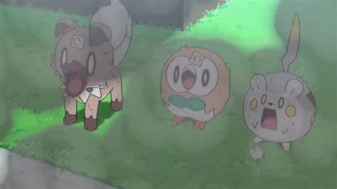 Pokemon Sun And Moon Episode 19 English Subbed Watch Cartoons Online