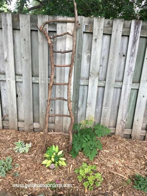 Easy Diy Garden Decor Using Tree Branches Garden Ladder Ladder