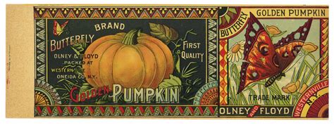 Butterfly Brand Vintage New York Pumpkin Can Label Thelabelman